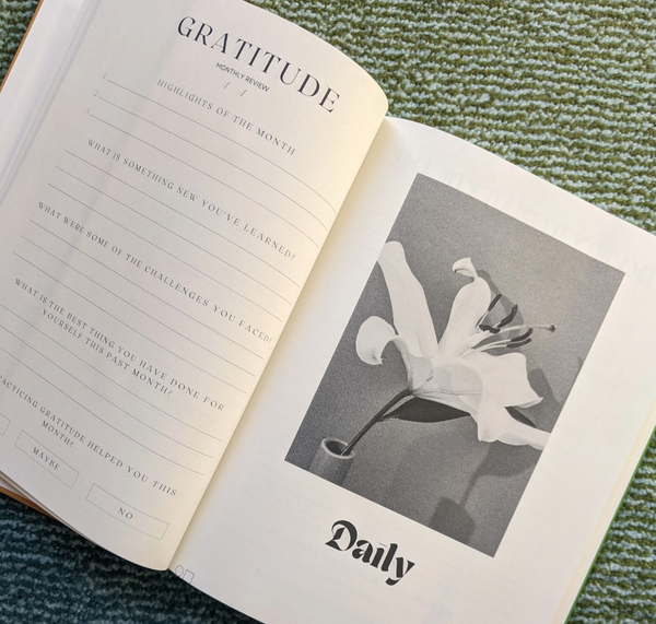Field Guide: For Gratitude & Modern Day Reveries