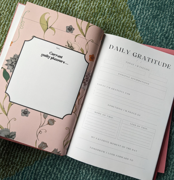 Mothering: Daily(ish) Journal for World's Hardest Job (Softcover)