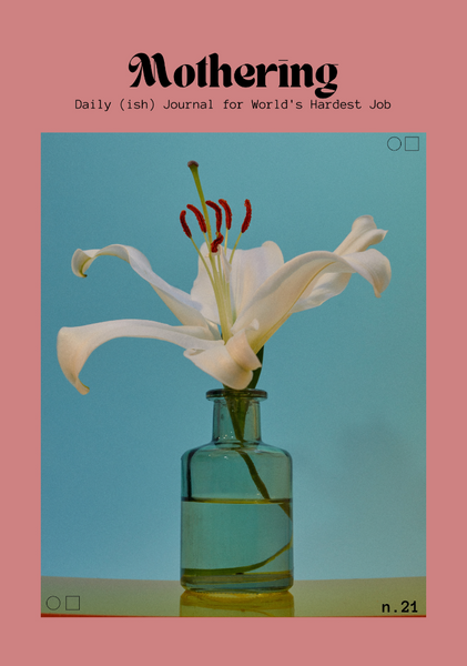 Mothering: Daily(ish) Journal for World's Hardest Job (Softcover)