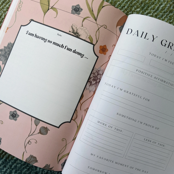 Mothering: Daily(ish) Journal for World's Hardest Job (Softcover)