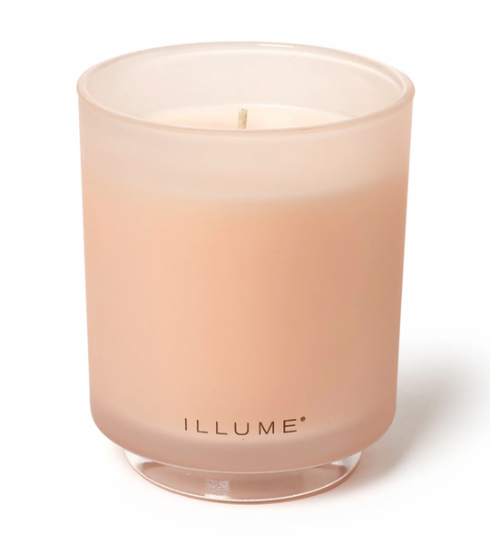 Coconut Milk Mango Boxed Glass Candle