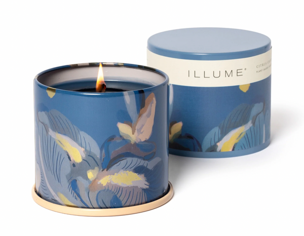 Citrus Crush Vanity Tin Candle